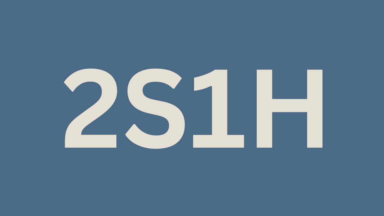 2s1h (6)