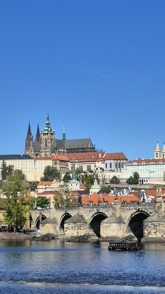 cz panorama 9