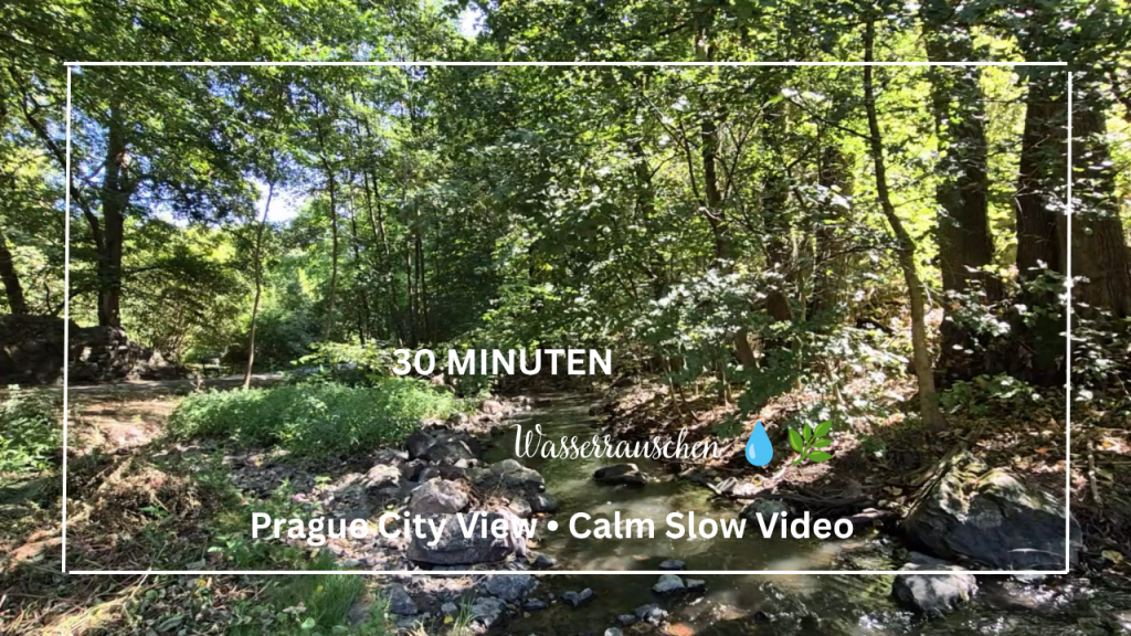 prague city view • calm slow video (2)